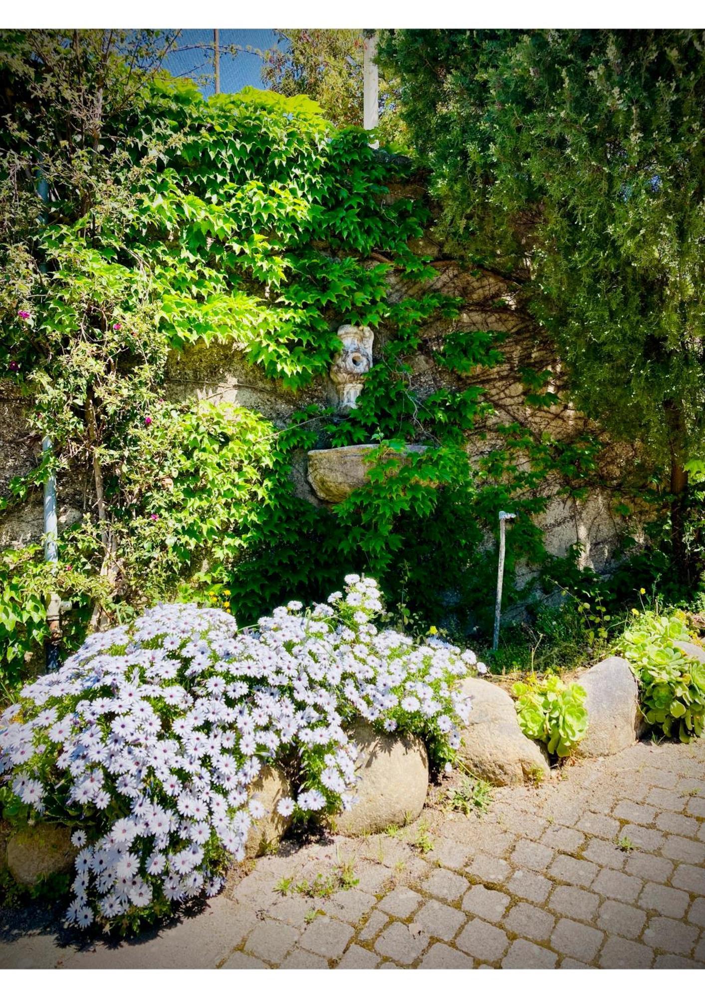 Villa Scilla E Cariddi メッシーナ エクステリア 写真
