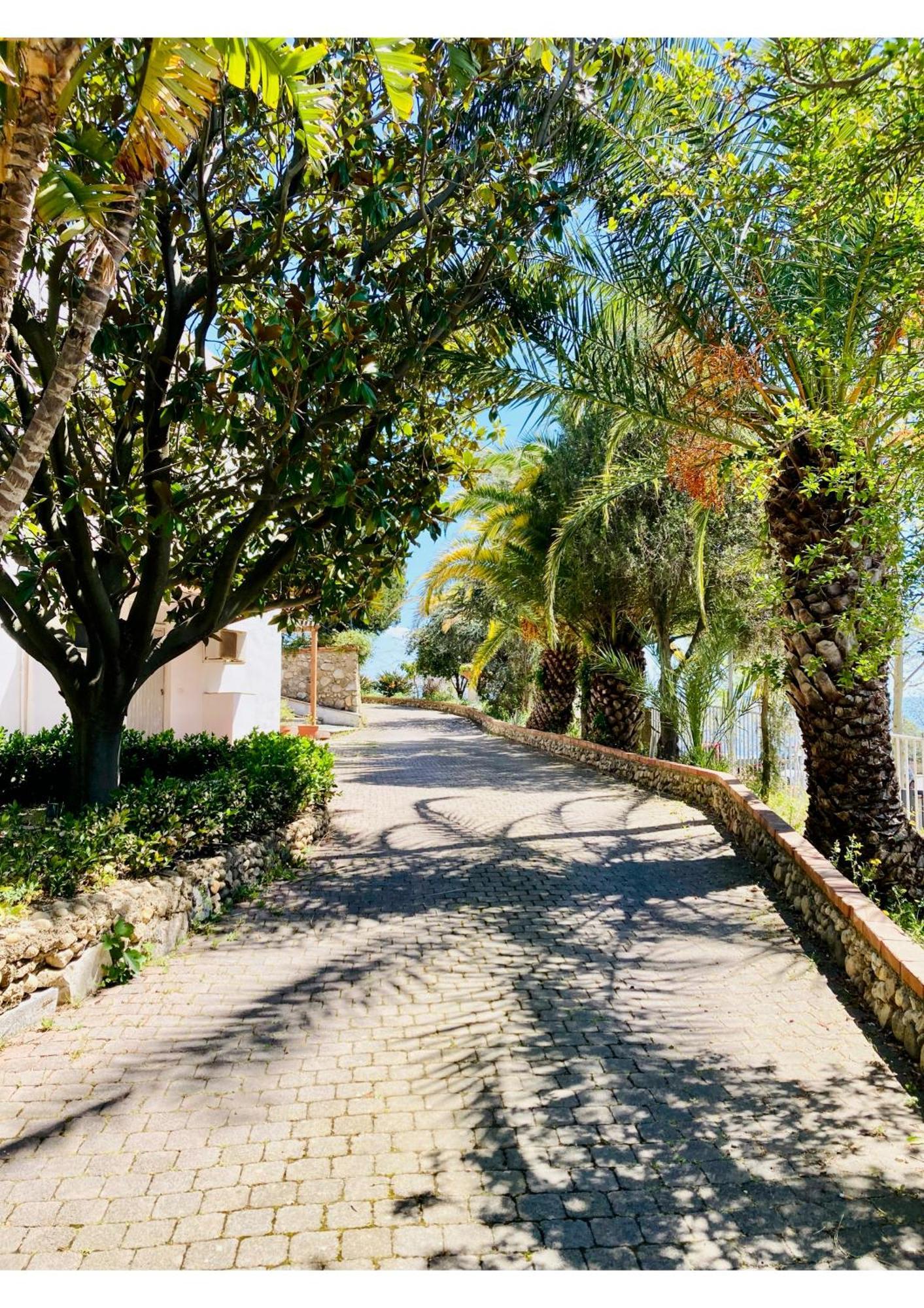 Villa Scilla E Cariddi メッシーナ エクステリア 写真