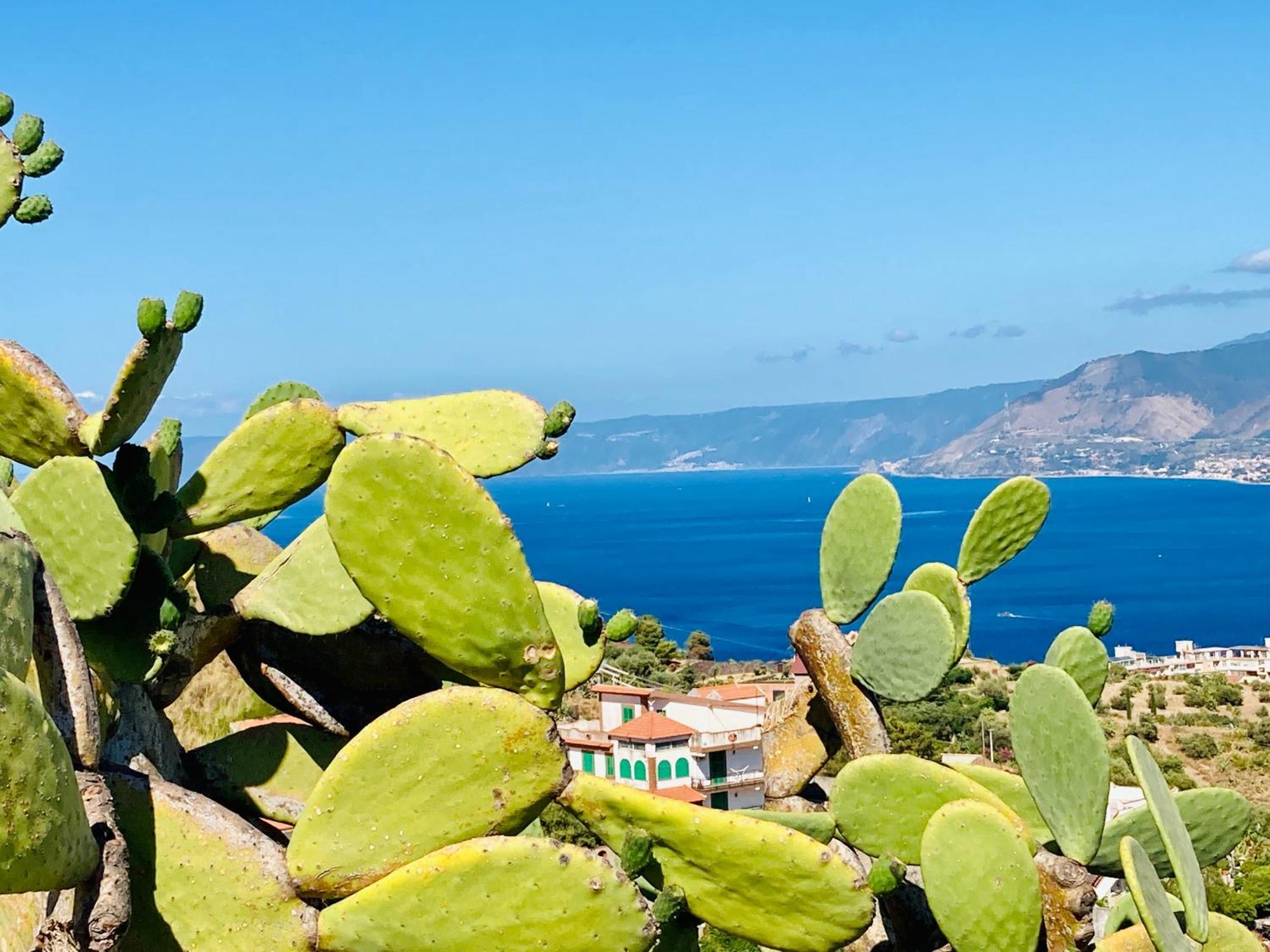 Villa Scilla E Cariddi メッシーナ エクステリア 写真