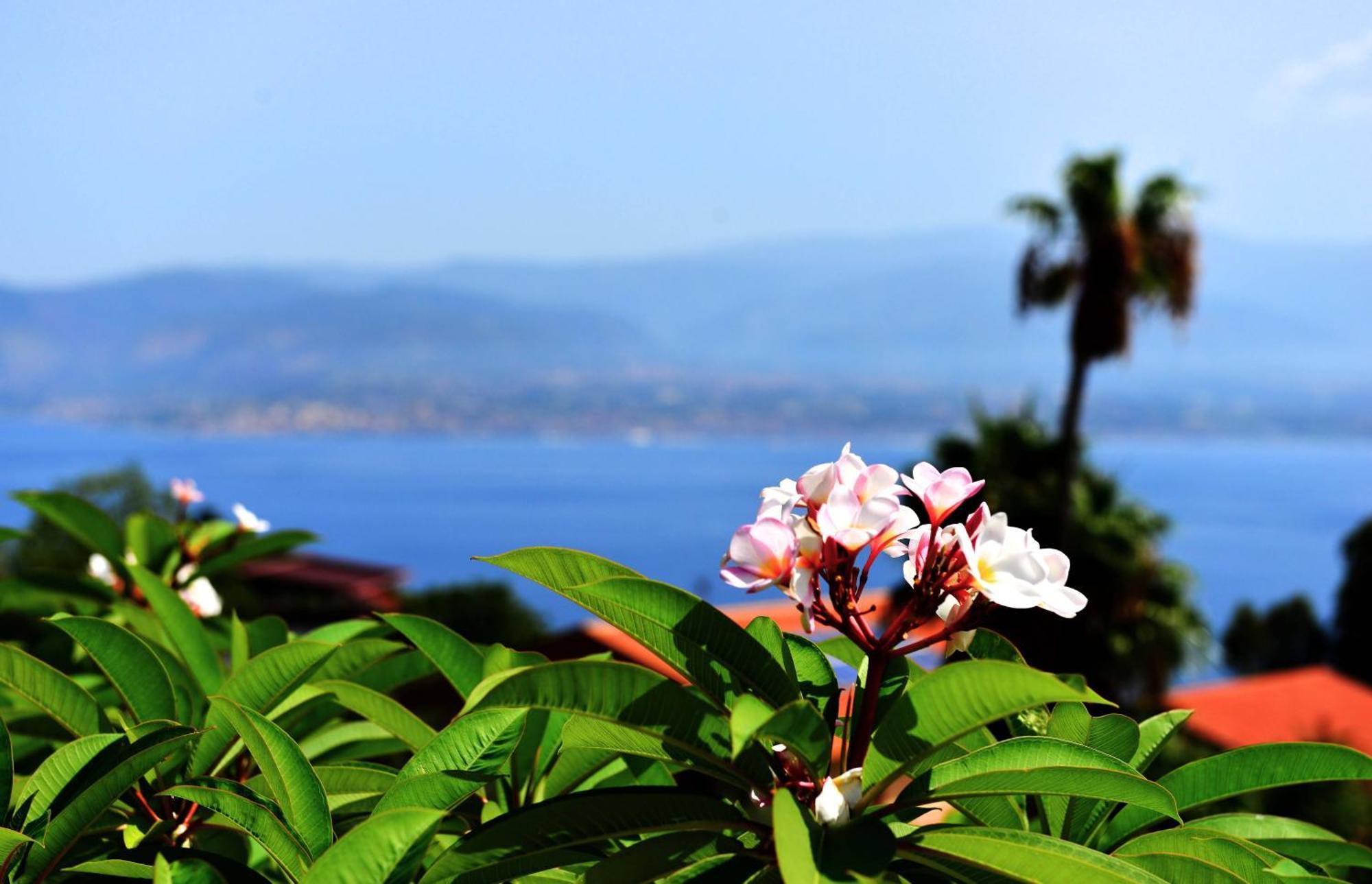 Villa Scilla E Cariddi メッシーナ エクステリア 写真