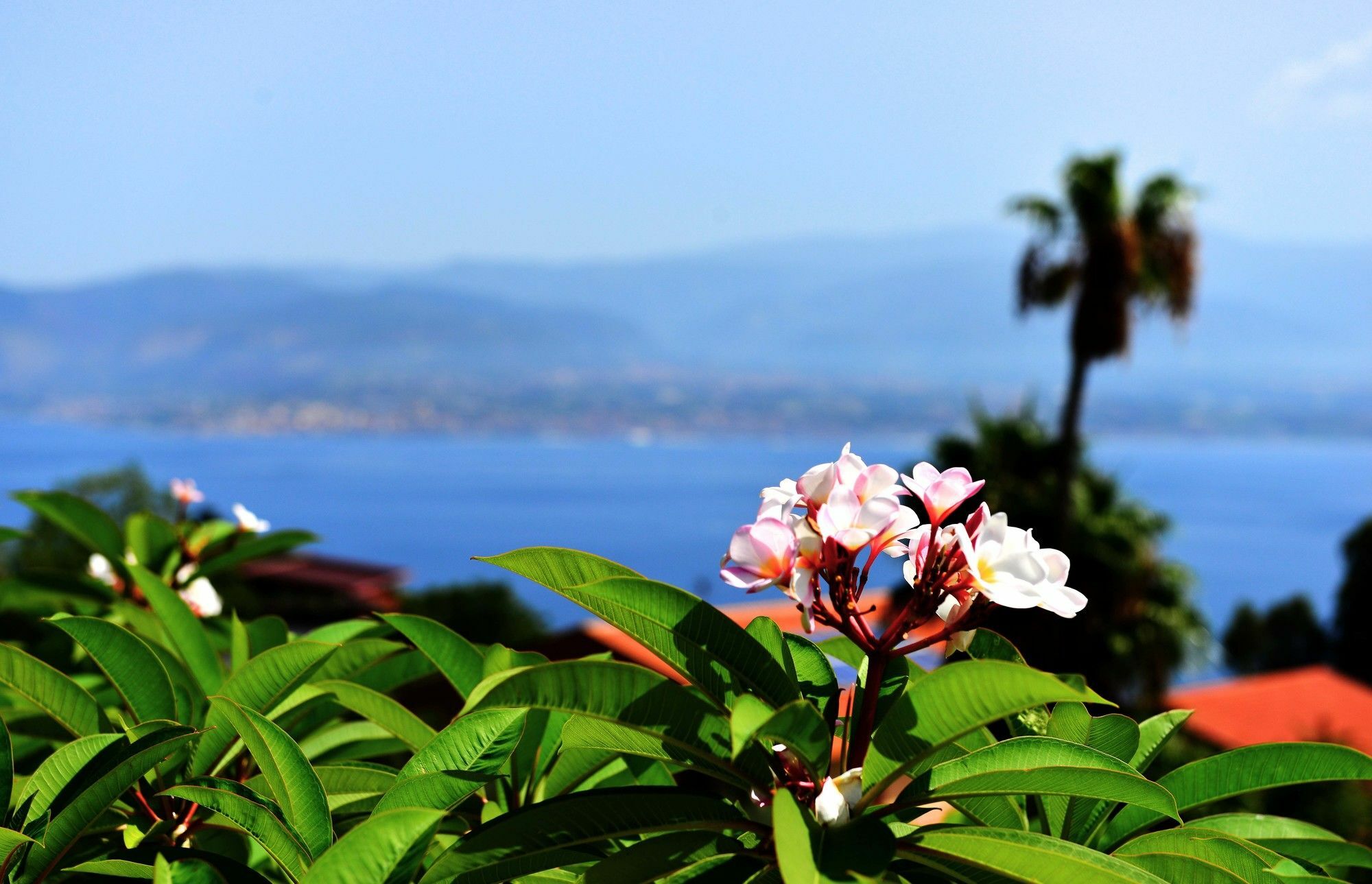 Villa Scilla E Cariddi メッシーナ エクステリア 写真